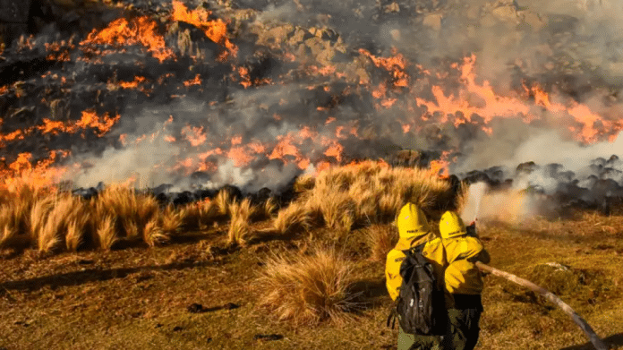 Córdoba arde: el martes amaneció con 16 focos activos y viviendas quemadas Córdoba arde: el martes amaneció con 16 focos activos y viviendas quemadas