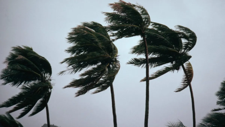 Clima: Jueves ventoso y con alerta por tormentas