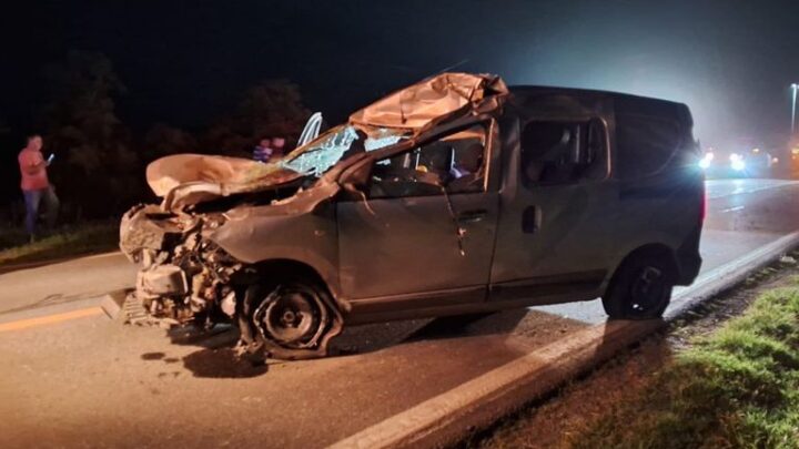 Accidente en ruta 19: Chocó un caballo y se salvó de milagro