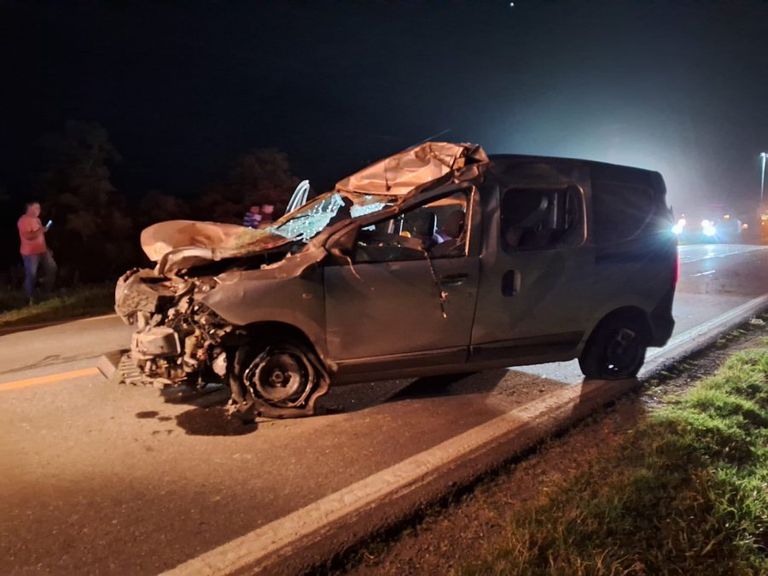 Accidente en ruta 19: Chocó un caballo y se salvó de milagro
