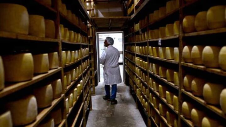 SanCor: un fondo de inversión quiere rematar quesos por 3 millones de dólares