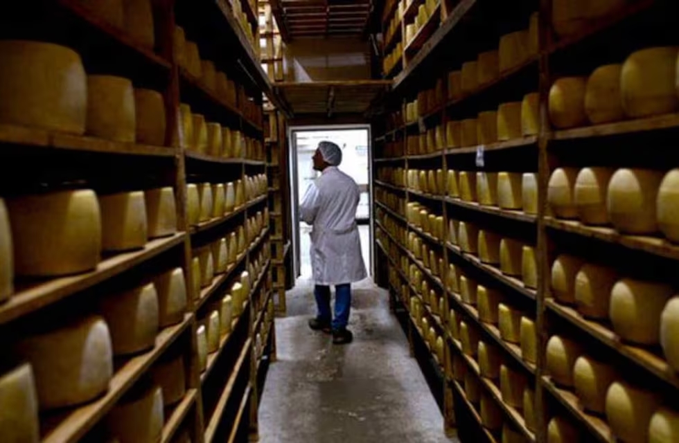 SanCor: un fondo de inversión quiere rematar quesos por 3 millones de dólares