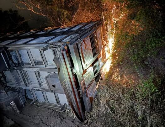 Vuelco de un camión jaula en Morteros provocó la muerte de varios animales