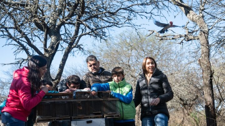 El Tío: soltaron más de 60 aves silvestres rescatadas