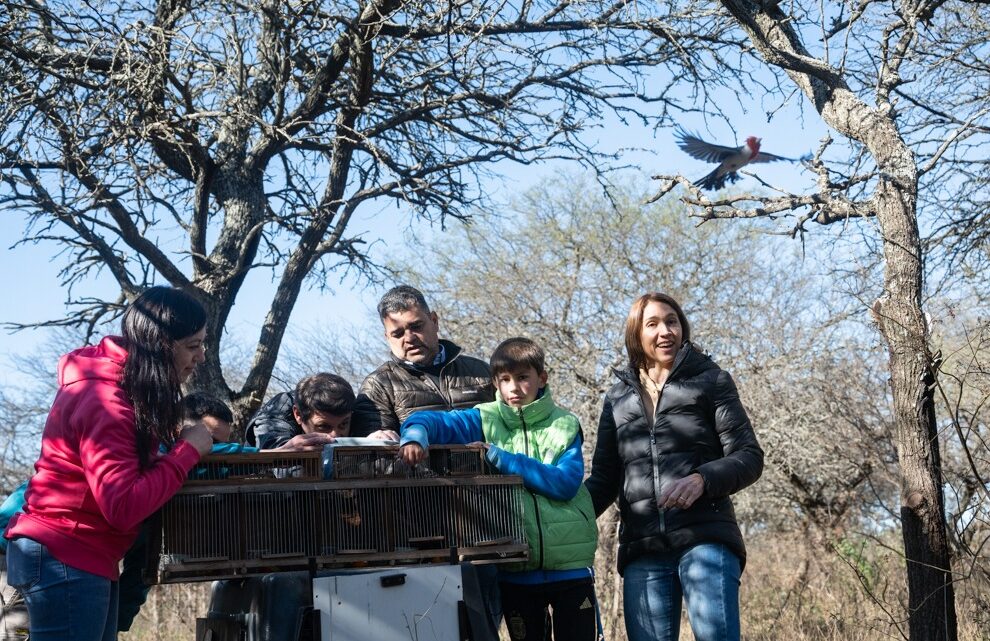 El Tío: soltaron más de 60 aves silvestres rescatadas El Tío: soltaron más de 60 aves silvestres rescatadas