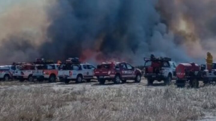 Se extinguió el incendio en El Porvenir: afectó más de 1.000 hectáreas de pastizales y monte nativo