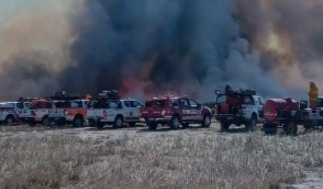 Se extinguió el incendio en El Porvenir: afectó más de 1.000 hectáreas de pastizales y monte nativo Se extinguió el incendio en El Porvenir: afectó más de 1.000 hectáreas de pastizales y monte nativo