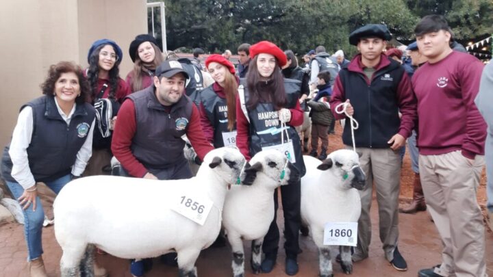 Una escuela rural de Córdoba nuevamente premiada en la Exposición Rural de Palermo