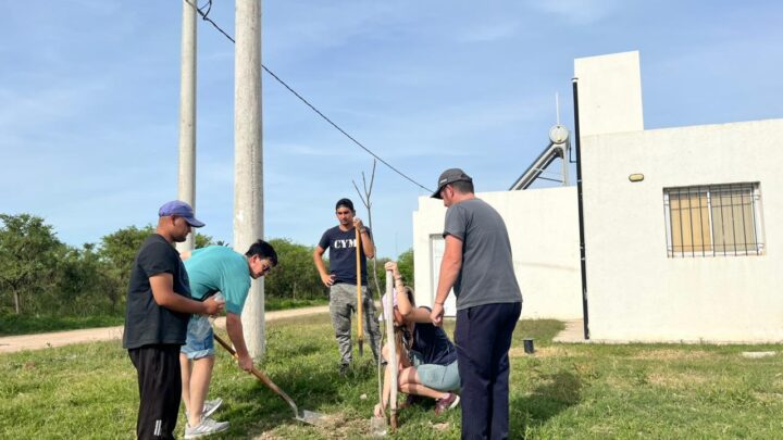 Este viernes se realiza la segunda jornada de forestación en Balnearia