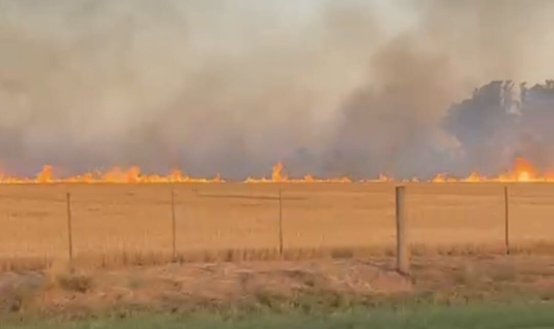 Bomberos Voluntarios de Balnearia sofocaron un incendio de cultivo en zona rural