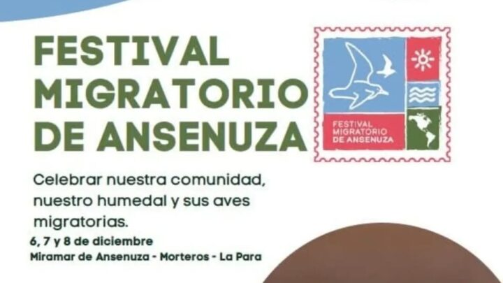 Ansenuza celebra la naturaleza con el Festival Migratorio en torno a la laguna Mar Chiquita