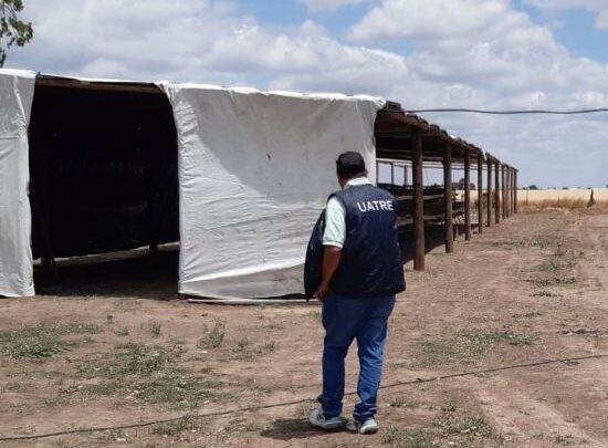 Detectan infracciones laborales en operativos realizados en la zona rural de La Para, Marull y Freyre