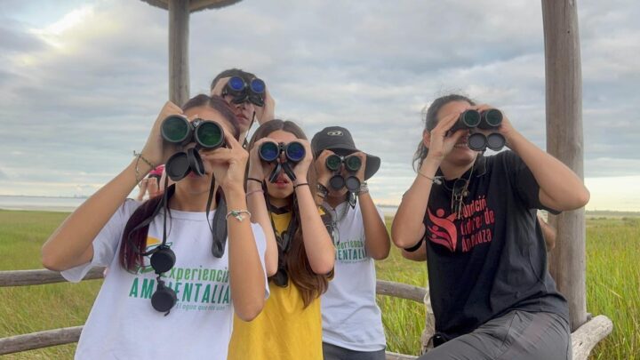 Abren las inscripciones para la 6ª edición de Experiencia Ambientalia