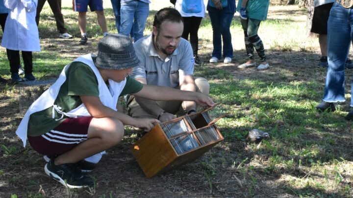 La Para: la Policía Ambiental liberó más de 60 animales silvestres
