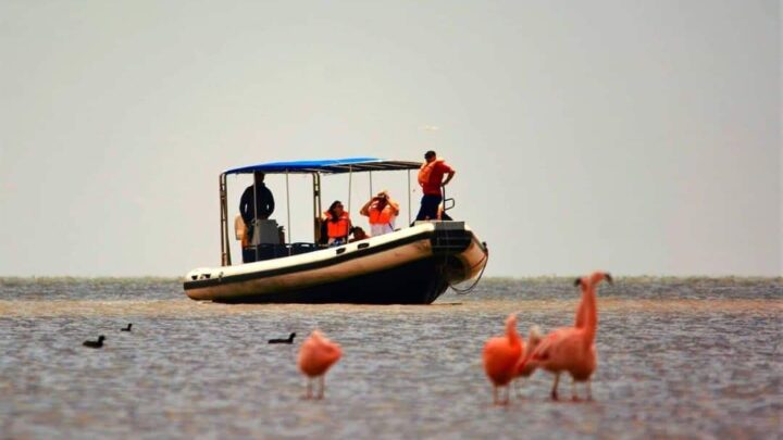 Miramar de Ansenuza lanzó “Escápate a Miramar” para impulsar el turismo en temporada baja