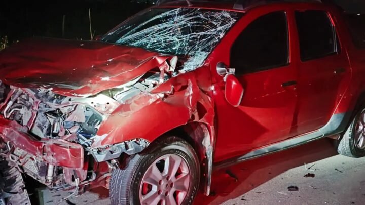 Una camioneta chocó contra un vacuno en el camino a Colonia San Pedro